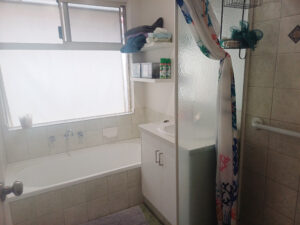 bath below window, vanity and shower screen